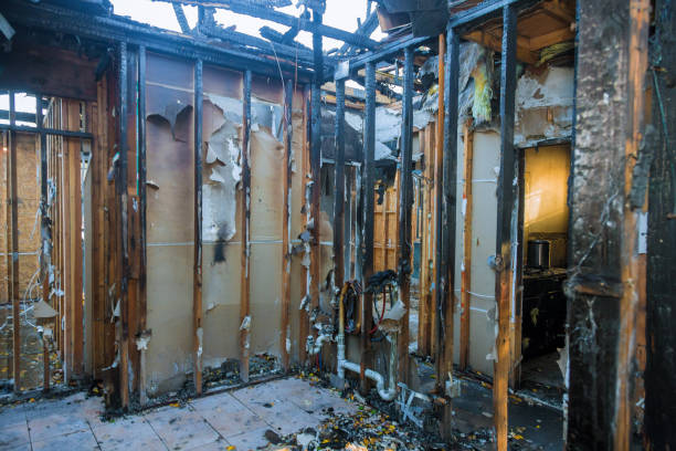 Professional Fire Damage Assessment technician working in Liberty Hill, TX